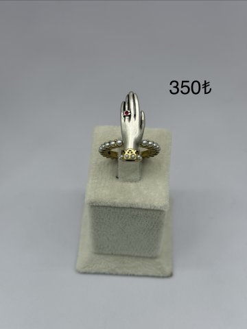 IMG 0461