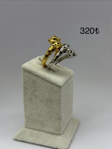 IMG 0536